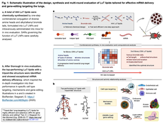 肺を標的とする高効率で選択的な遺伝子の送達と編集のための「三脚型」脂質ナノ粒子