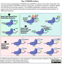 CRISPR based cancer precision 2