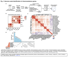 スクリーンショット 2024-07-06 22.07.13