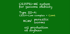 CRISPRメモ_2019/02/02_3 (6件)