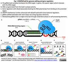 Advancing biotechnology 1