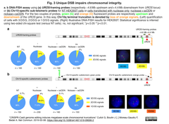 スクリーンショット 2019-03-10 11.31.45