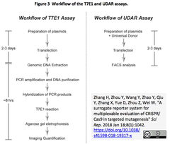 CRISPRメモ_2018/01/25（SAMによるKlotho活性化；L. lactis発現システム；スクリーニング２件；CRISPR編集結果評価法２件）