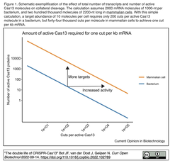 スクリーンショット 2022-09-25 8.25.00