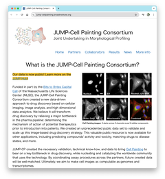 細胞ペインティング画像データベース構築と, ヒト細胞における遺伝子の低発現および過剰発現の形態学的マッピング