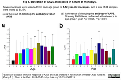 スクリーンショット AAV