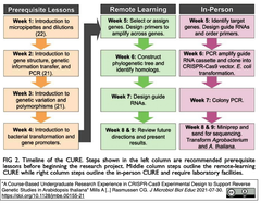 [20210803更新] 学部向けコース：シロイヌナズナをモデルとするCRISPR-Cas9によるハイスループット逆遺伝学