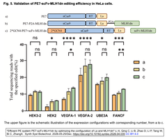 Efficient PE system PE7-scFv-MLH1dn Fig. 5