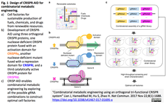 CRISPRメモ_2017/11/29-1（dRNA特許、細胞事象の細胞内記録、など７件）