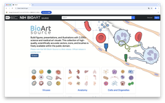 スクリーンショット 2024-10-30 15.01.10