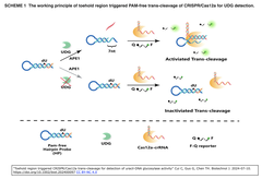 CRISPR Dx UDG 07-19