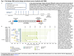 Individualized mRNA vaccines evoke
