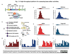 [20210828更新] CBEとABEの結果予測システム: 数千のターゲットライブラリーでの実験データをベースとしてアテンション技術を組み入れた深層学習で実現