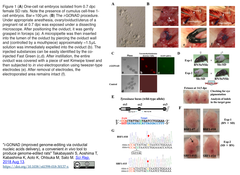 CRISPRメモ_2018/08/19-2 (8件)