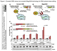 CRISPRメモ_2020/03/01 (6件)