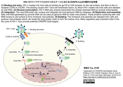 CRISPRメモ_2019/03/23 - 1 (レビュー4件)