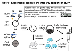マウスゲノム編集にはマイクロインジェクションよりCas9胚へのsgRNAエレクトロポレーション