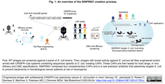 SNIPR001