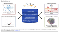PerturbDB：Perturb-seq由来のデータセットを利用して遺伝子の機能と制御ネットワークの同定を可能にするプラットフォーム