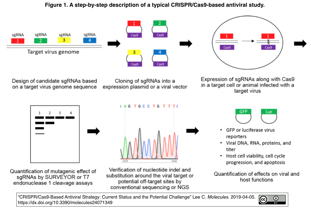 Crisprメモ 2019 04 14 遺伝子機能解析 薬剤耐性 抗ウイルス療法など10件 Crisp Bio