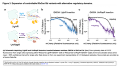 Multimodal control of Cas13d Figure 3