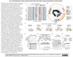 スクリーンショット 2023-09-29 9.04.18