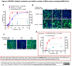 スクリーンショット 2020-04-01 12.01.53
