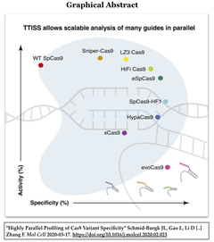 TTISS: 多数のCas9変異体の活性と特異性の並列プロファイリング法