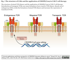 Cancer Fig. 7