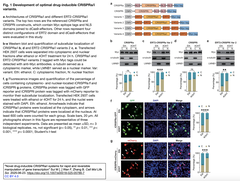 Novel drug-inducible CRISPRa:i systems