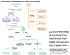 Evolving strategies for lineage tracing 5