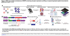 Uncovering spatially resolved functional genomics Fig. 1
