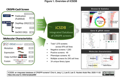 iCSDB: ヒト細胞を対象とするCRISPRスクリーニング結果の統合データベース