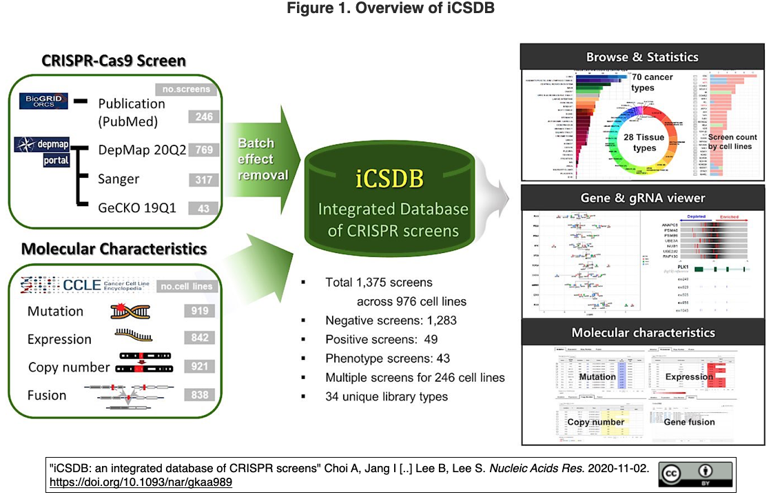 翻訳版Ａｇｒｉｃｕｌｔｕｒａｌ　Ｂｉｏｉｎｆｏｒｍａｔｉｃｓ オミクスデータとＩＣＴの統合  /エヌ・ティ-・エス/カヴィ・キショー・Ｐ．Ｂ．（単行本） 翻訳版Agricultural Bioinformatics