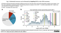 タンパク質製剤生産の効率向上をもたらす"クリーン"なCHO細胞変異株を多重化CRISPR-Cas9で樹立