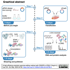 Protocol to target GA