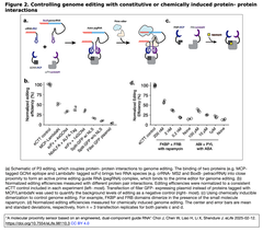A molecular proximity sensor 2