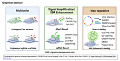 [レビュー] ゲノムを照らし出す：CRISPR-Casによる生細胞イメージング技術の新展開 (参考文献101件を含む14頁)