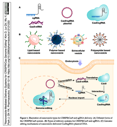 [レビュー] ナノ粒子によるCRISPR/Casゲノム編集システムのデリバリー