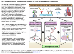 Precision modification of heart failure Fig. 1