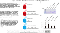 Nanobodies 2