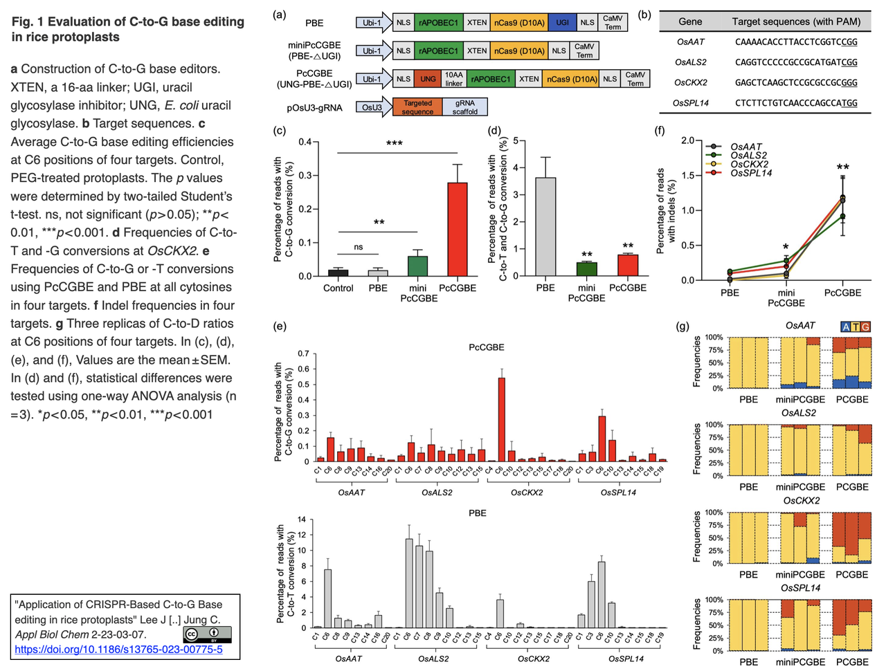 プロトビットプラスのリーフレット