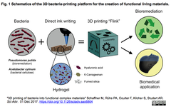 バクテリア入りインクによる３Dプリンティング技術と装置を開発し、生物活性を備えた３次元構造体の構築を実現