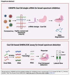 Broad-spectrum CRISPR-Cas13d