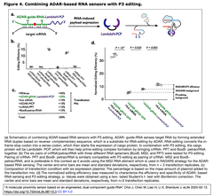 A molecular proximity sensor 4