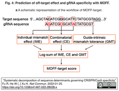 CRISPR/Cas9の特異性を決定する配列要素を同定