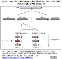 CRISPR SAM APP Fig 1