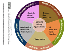 Figure 4 2019-02-13