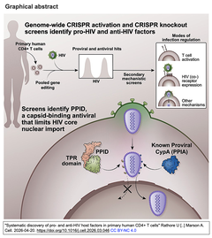 ヒト初代CD4陽性T細胞においてHIVの感染を促進する因子と抑制する因子の包括的同定を実現