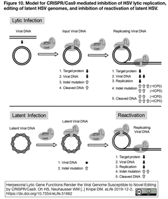 Fig. 10